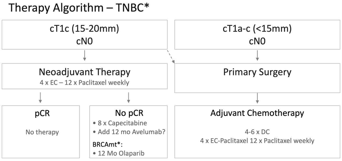 Treatment algorithm for patients with TNBC