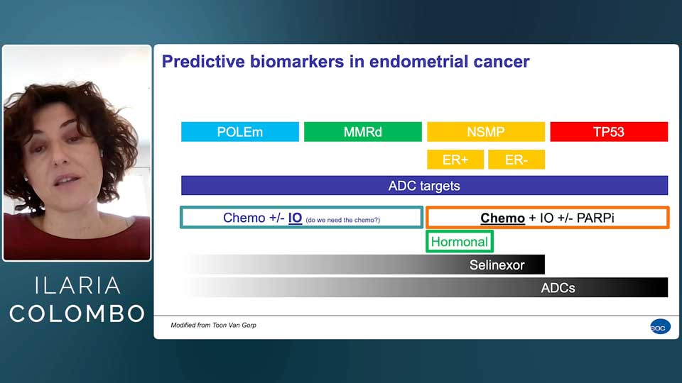 Endometrial Cancer by Ilaria Colombo